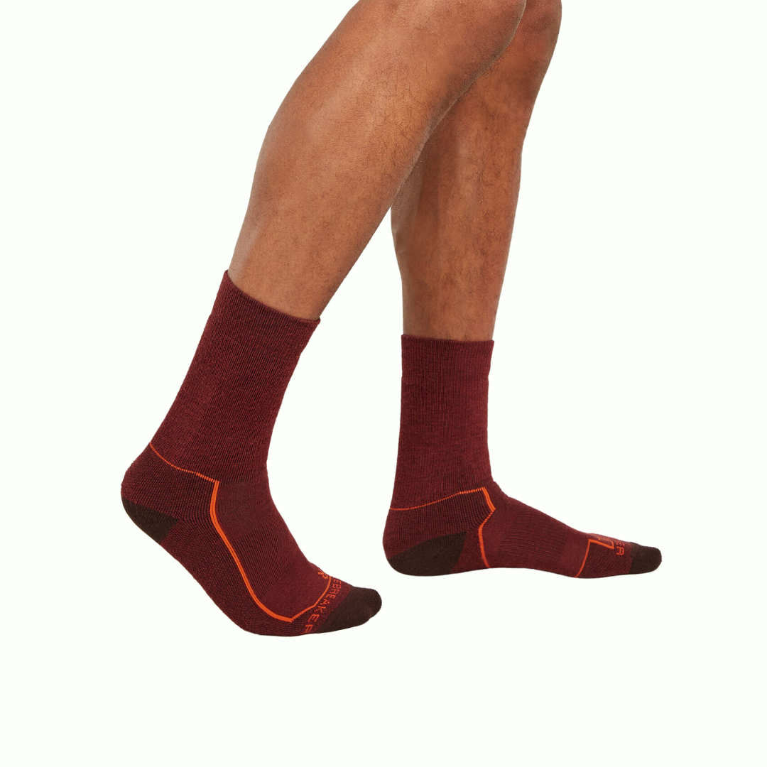 Icebreaker Hike + LC Crew (Homme)