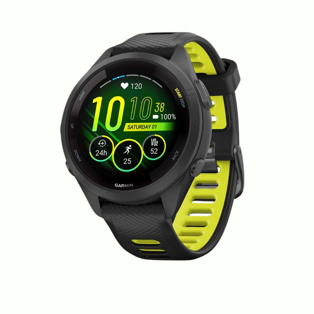 Garmin 265S