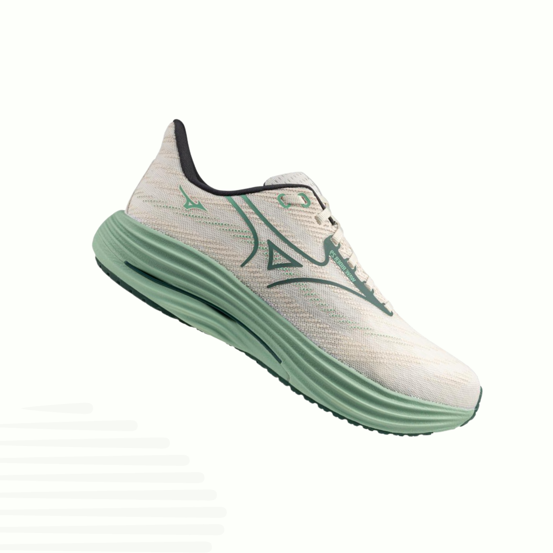 Mizuno Wave Rider 29 (Homme)