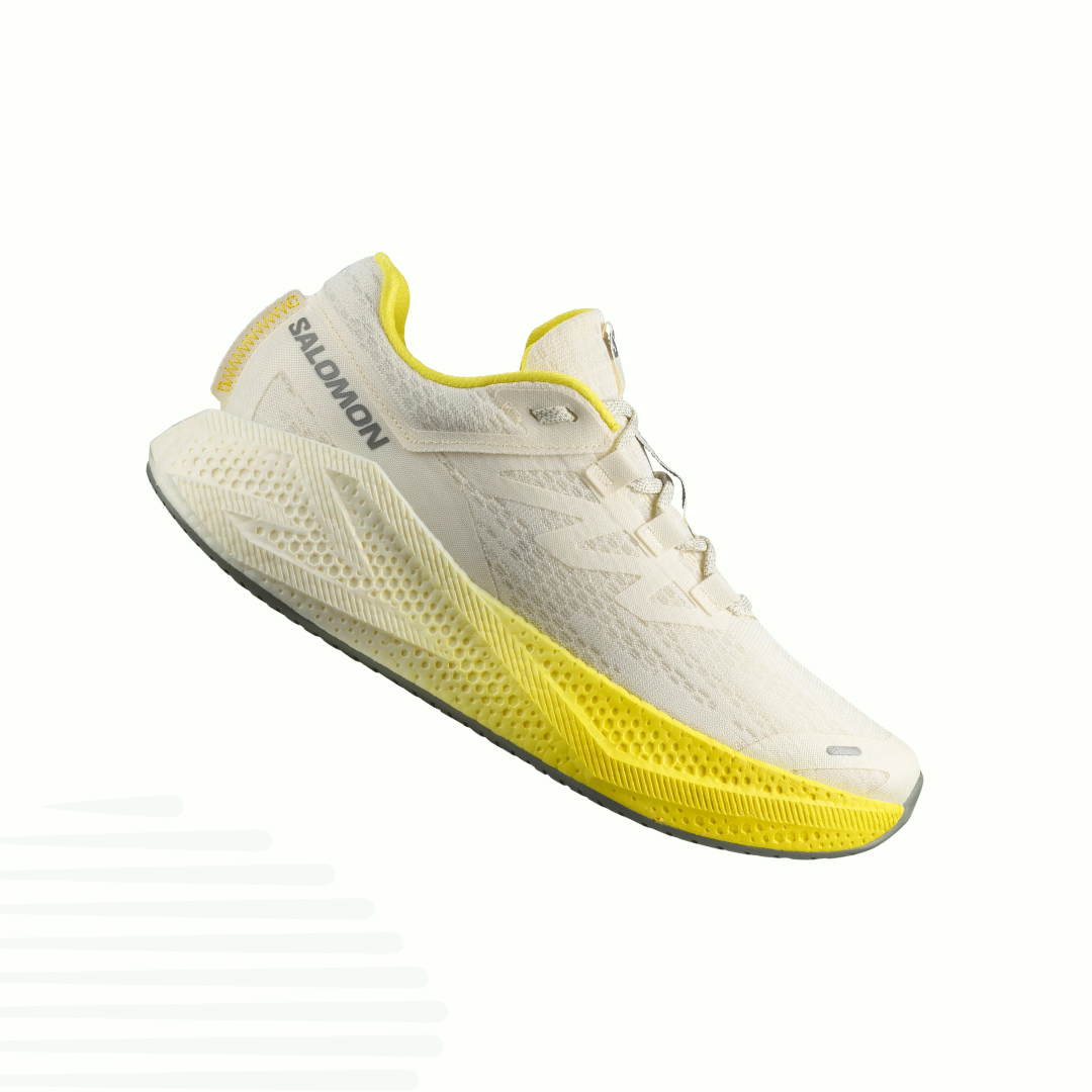Salomon Aero Glide 3 (Homme)