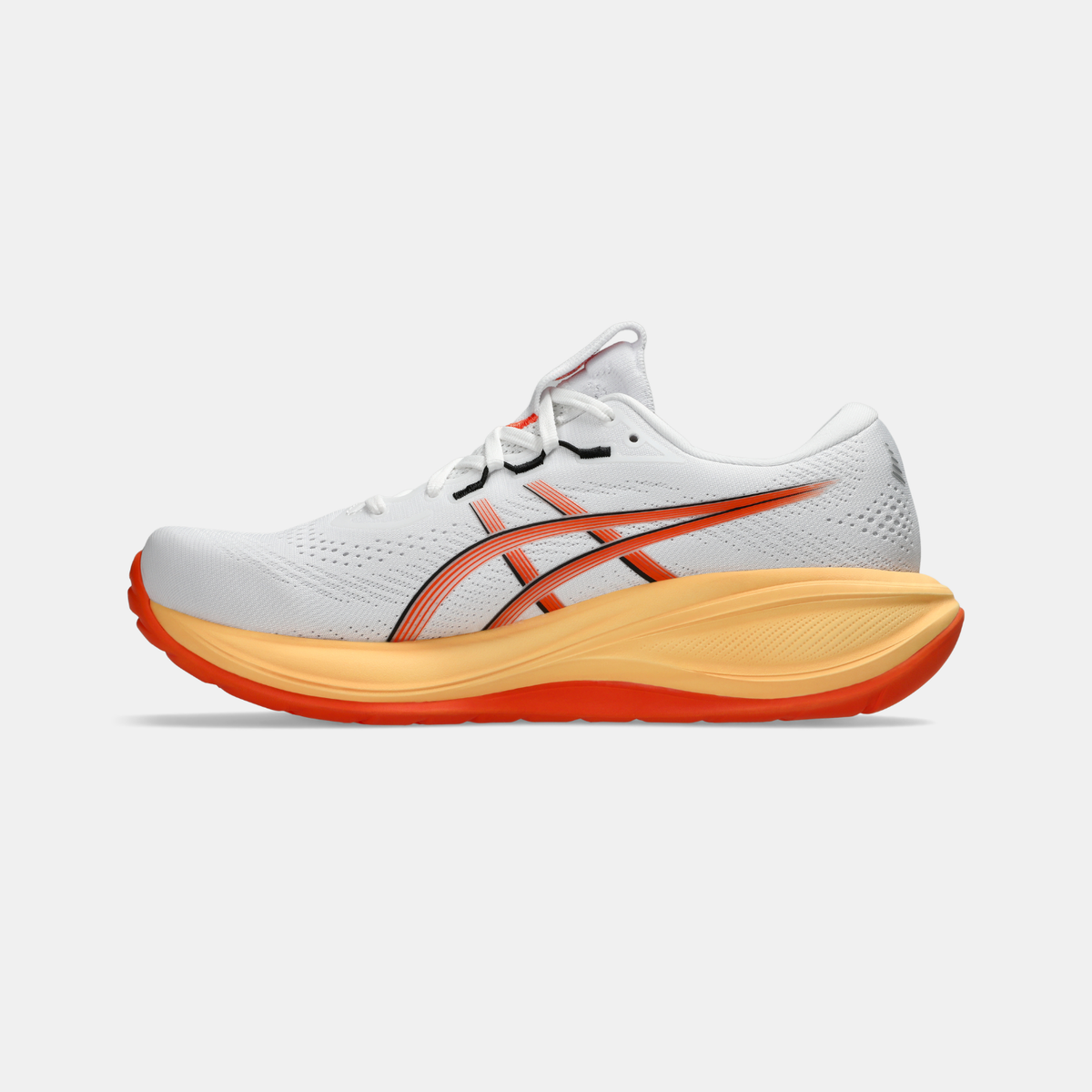 Asics Gel Cumulus 28 (Homme)