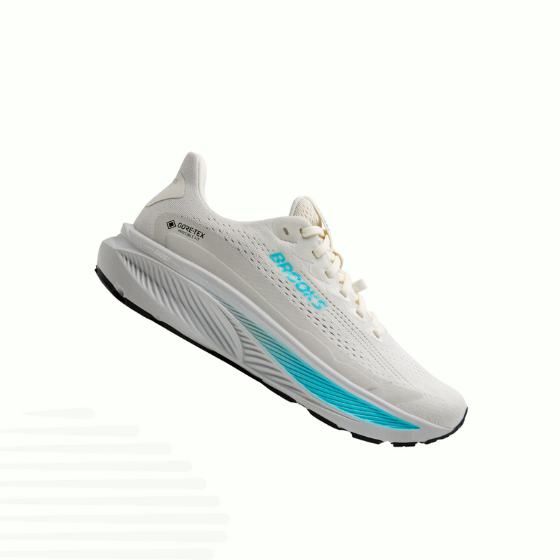 Brooks Ghost 17 GTX (Femme)