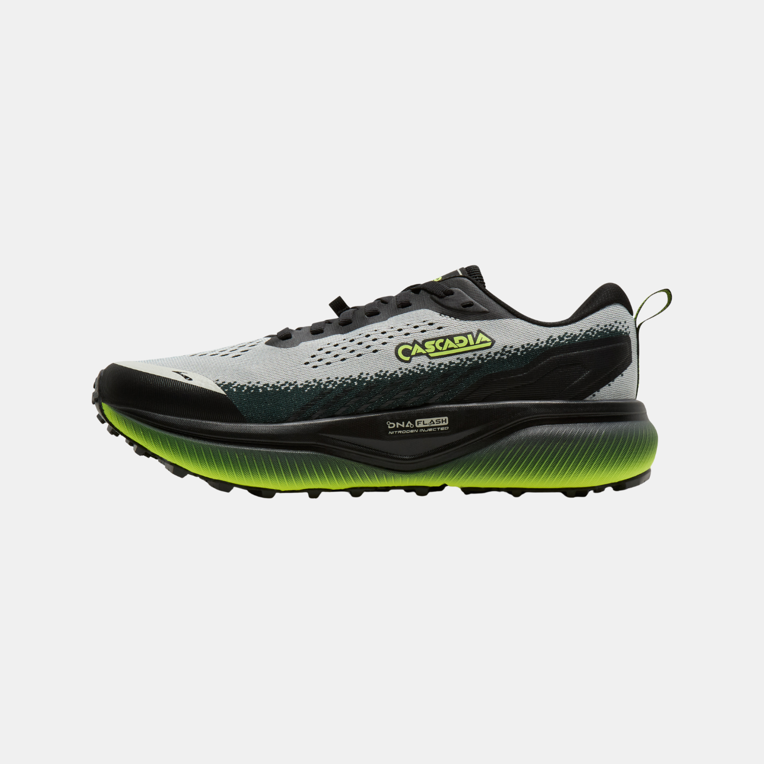 Brooks Cascadia 20 (Homme)