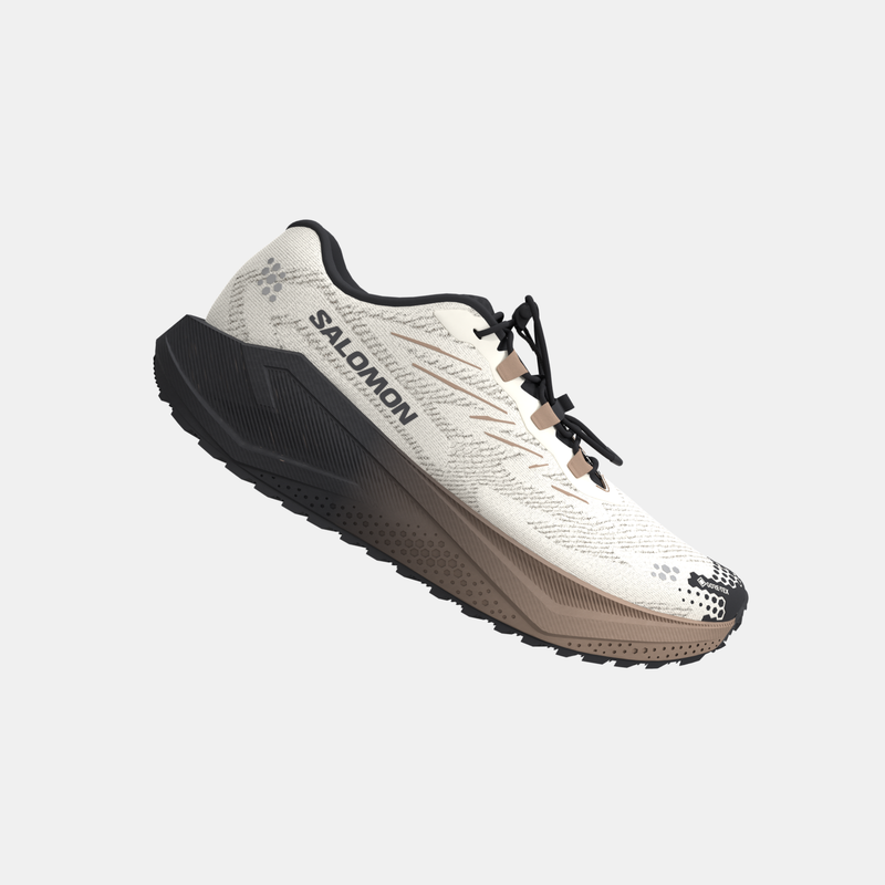Salomon Aeroblaze 4 Gore-Tex (Homme)