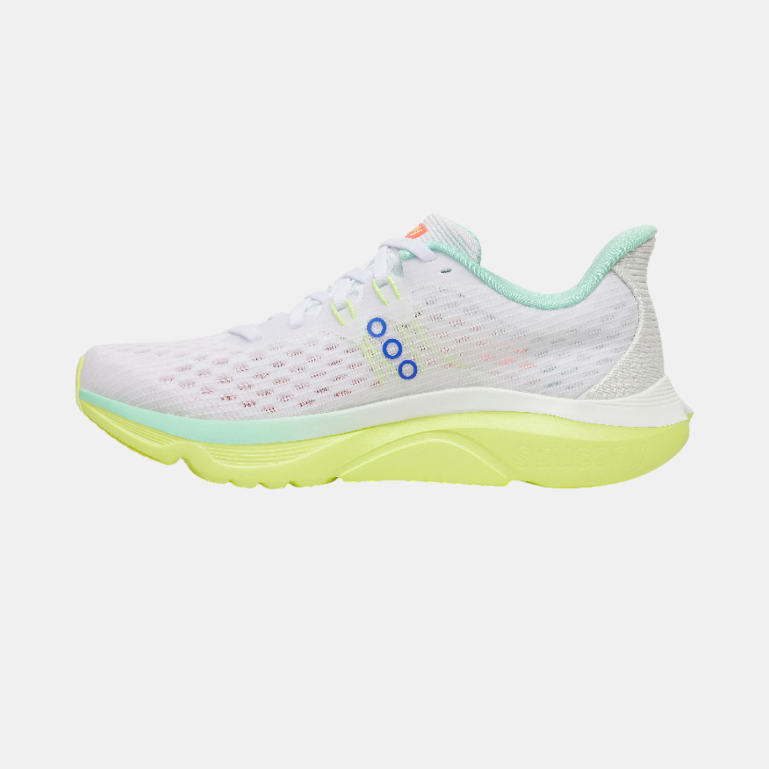 Saucony Kinvara 16 (Femme)