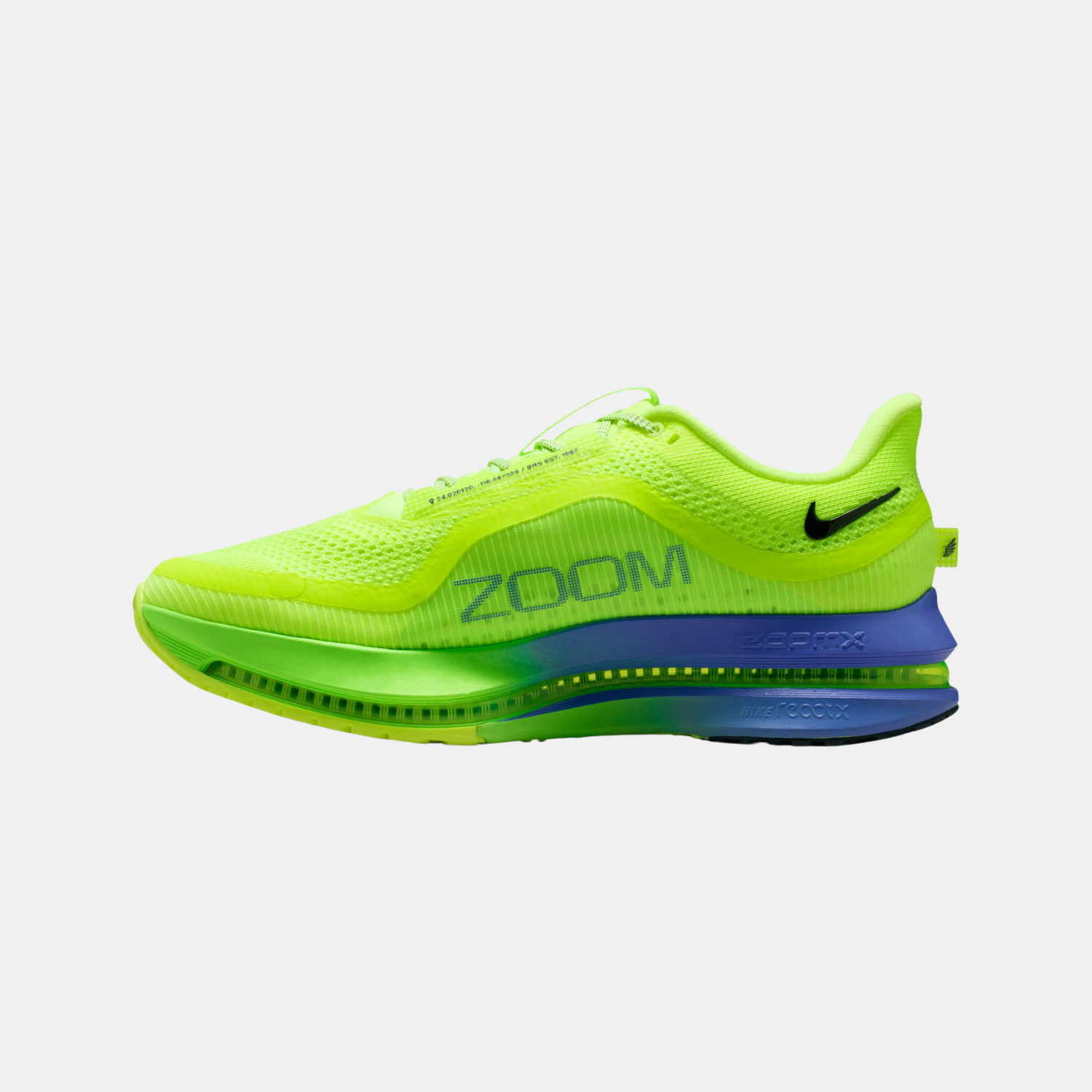 Nike Pegasus Premium (Men's)