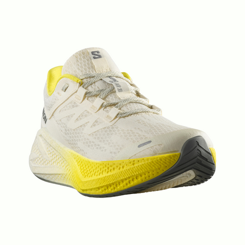 Salomon Aero Glide 3 (Men's) – Boutique Endurance