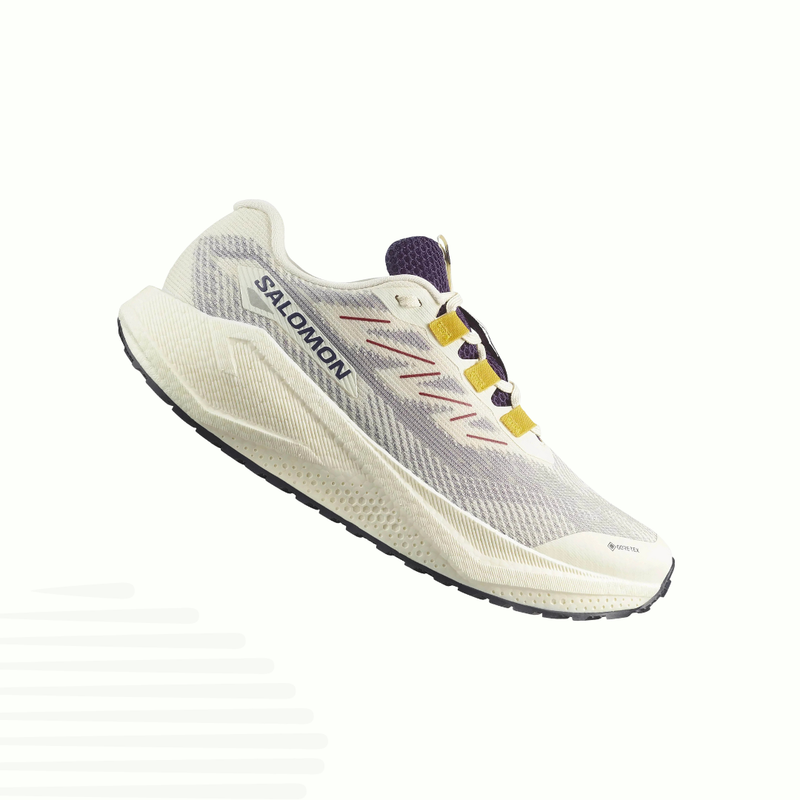 Salomon AeroBlaze 3 Gravel Gore-Tex (Women's)