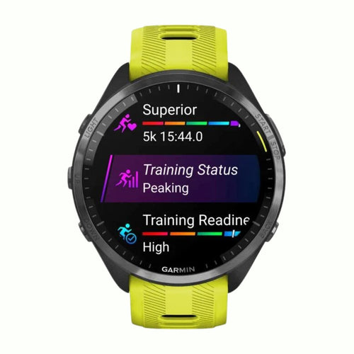 Garmin 965 Boutique Endurance